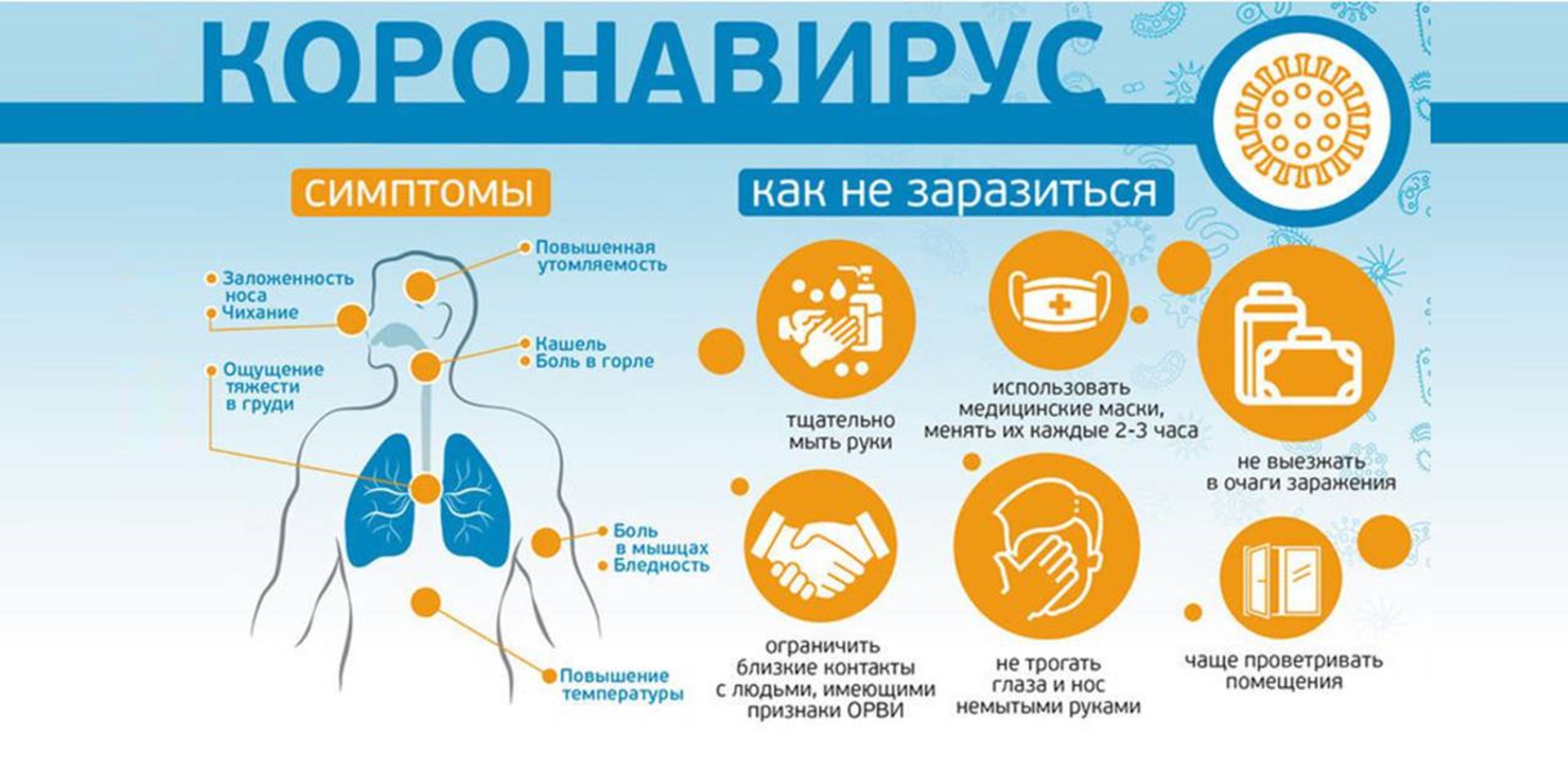 Четыре варианта COVID-19: объясняем в картинках, как определяют степень тяжести болезни